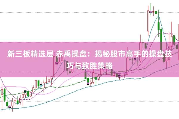 新三板精选层 赤禹操盘：揭秘股市高手的操盘技巧与致胜策略
