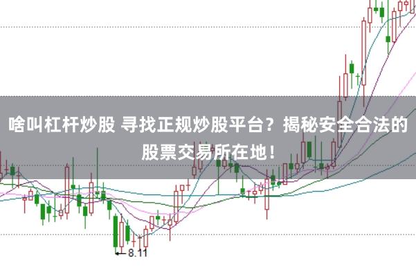 啥叫杠杆炒股 寻找正规炒股平台？揭秘安全合法的股票交易所在地！