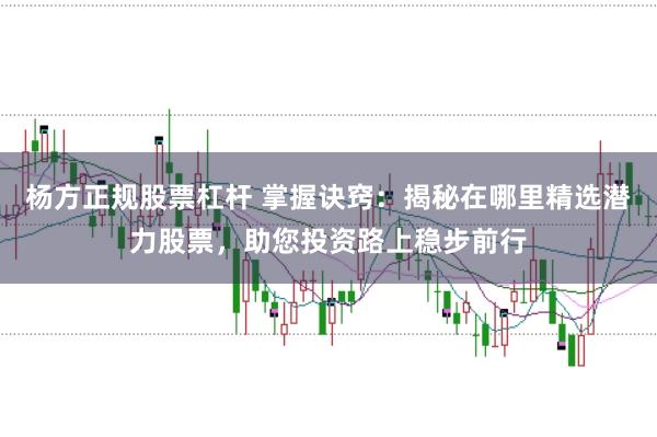 杨方正规股票杠杆 掌握诀窍：揭秘在哪里精选潜力股票，助您投资路上稳步前行