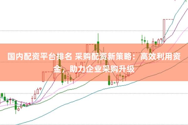 国内配资平台排名 采购配资新策略：高效利用资金，助力企业采购升级