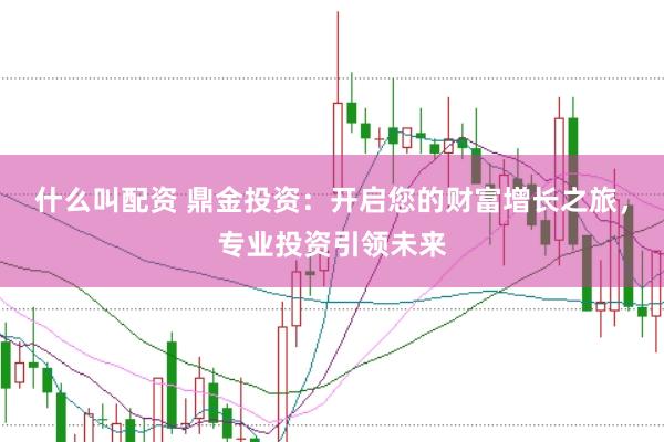什么叫配资 鼎金投资：开启您的财富增长之旅，专业投资引领未来