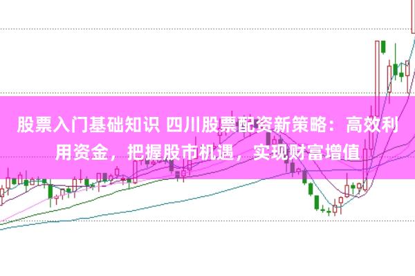 股票入门基础知识 四川股票配资新策略：高效利用资金，把握股市机遇，实现财富增值