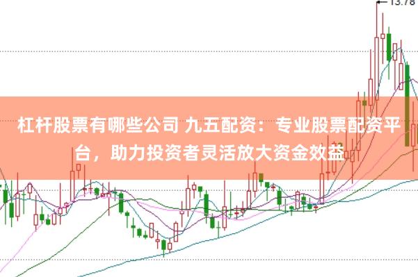 杠杆股票有哪些公司 九五配资：专业股票配资平台，助力投资者灵活放大资金效益