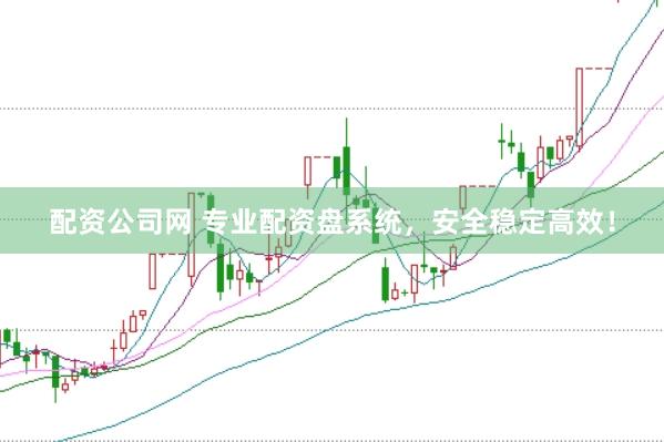 配资公司网 专业配资盘系统，安全稳定高效！