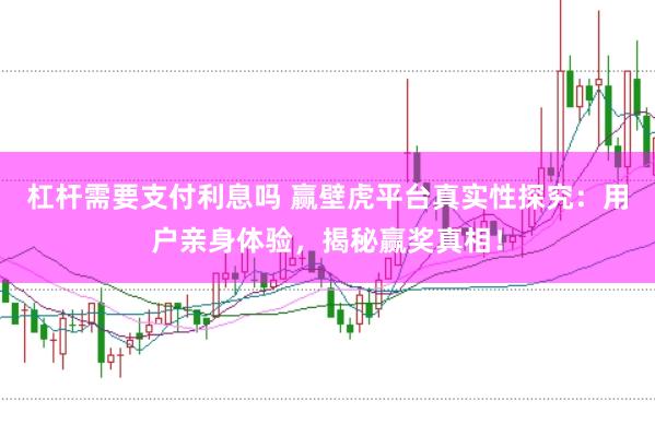 杠杆需要支付利息吗 赢壁虎平台真实性探究：用户亲身体验，揭秘赢奖真相！