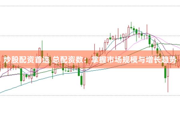炒股配资首选 总配资数：掌握市场规模与增长趋势