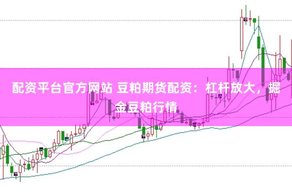配资平台官方网站 豆粕期货配资：杠杆放大，掘金豆粕行情