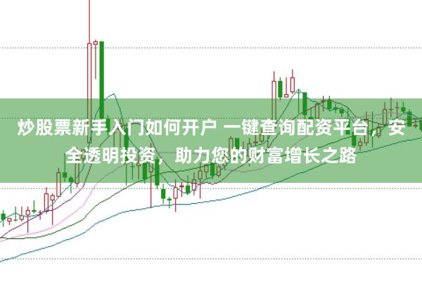 炒股票新手入门如何开户 一键查询配资平台，安全透明投资，助力您的财富增长之路