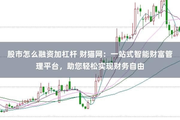 股市怎么融资加杠杆 财猫网：一站式智能财富管理平台，助您轻松实现财务自由