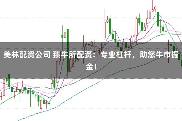 美林配资公司 臻牛所配资：专业杠杆，助您牛市掘金！