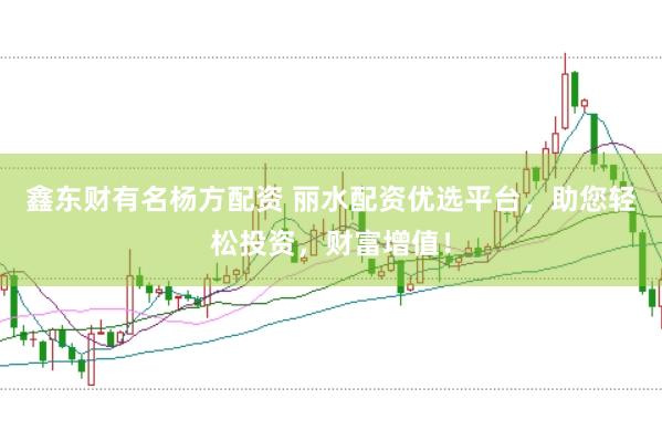 鑫东财有名杨方配资 丽水配资优选平台，助您轻松投资，财富增值！