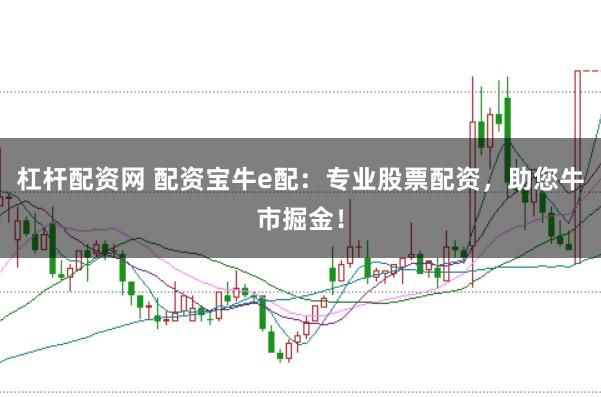 杠杆配资网 配资宝牛e配：专业股票配资，助您牛市掘金！