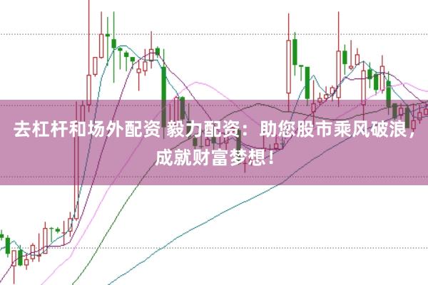 去杠杆和场外配资 毅力配资：助您股市乘风破浪，成就财富梦想！