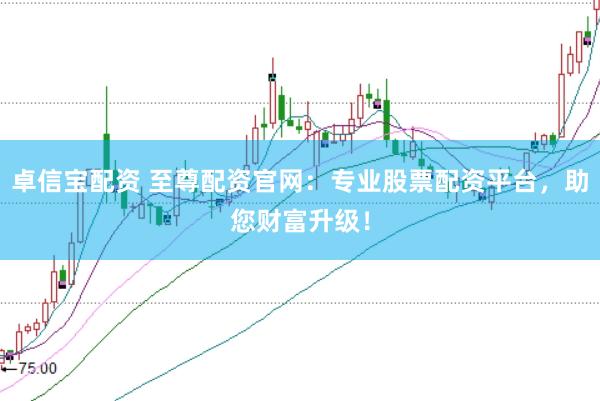 卓信宝配资 至尊配资官网：专业股票配资平台，助您财富升级！