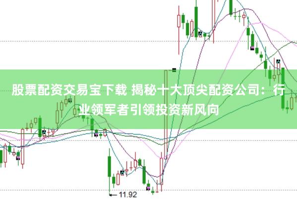 股票配资交易宝下载 揭秘十大顶尖配资公司：行业领军者引领投资新风向