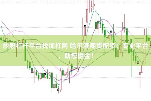 炒股杠杆平台找加杠网 哈尔滨期货配资：专业平台，助您掘金！