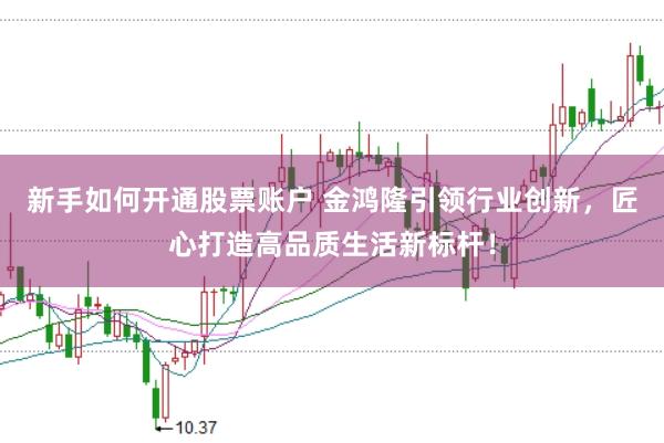 新手如何开通股票账户 金鸿隆引领行业创新，匠心打造高品质生活新标杆！