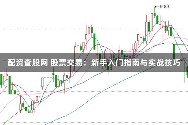 配资查股网 股票交易：新手入门指南与实战技巧