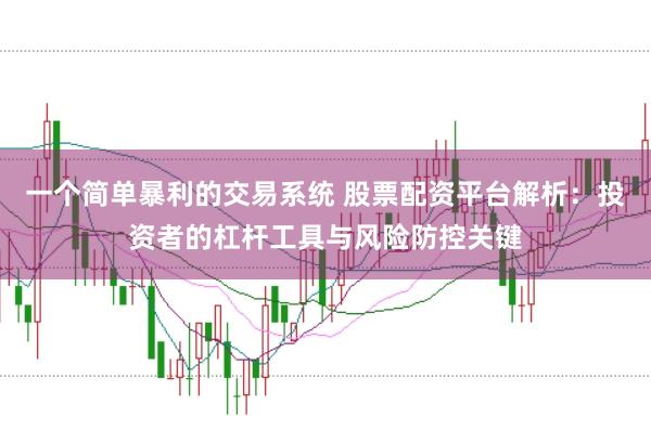 一个简单暴利的交易系统 股票配资平台解析：投资者的杠杆工具与风险防控关键
