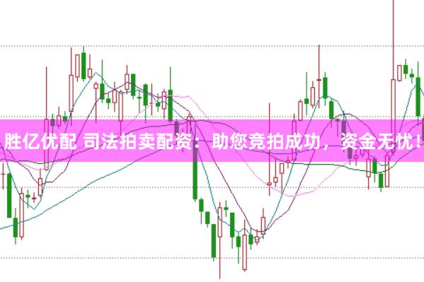 胜亿优配 司法拍卖配资：助您竞拍成功，资金无忧！