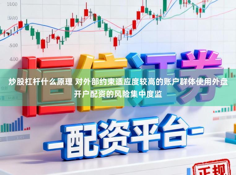 炒股杠杆什么原理 对外部约束适应度较高的账户群体使用外盘开户配资的风险集中度监